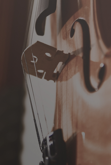 Conservatoire-trained classical musicians